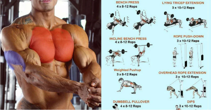 Chest And Triceps Superset Workout – Muscles to Grow Bigger